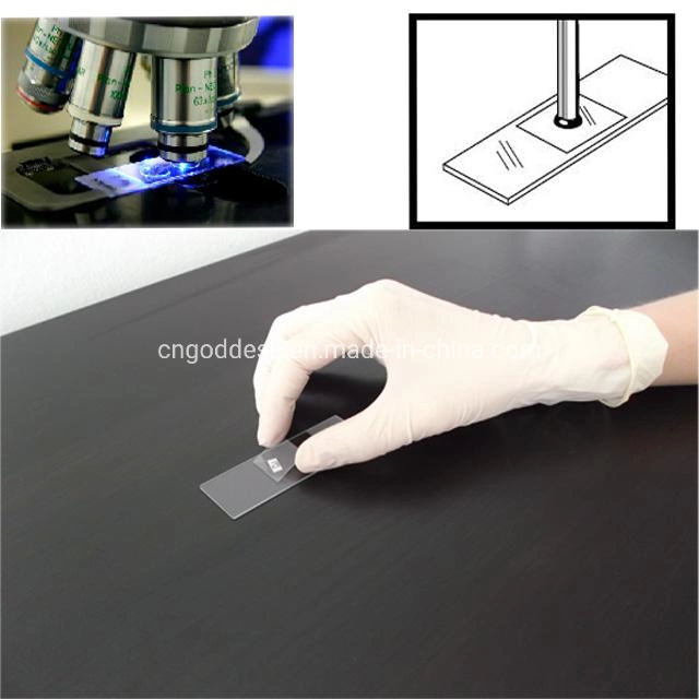 High Quality Simple Packing Objective Thickness Slide or Microscope Cover Glass