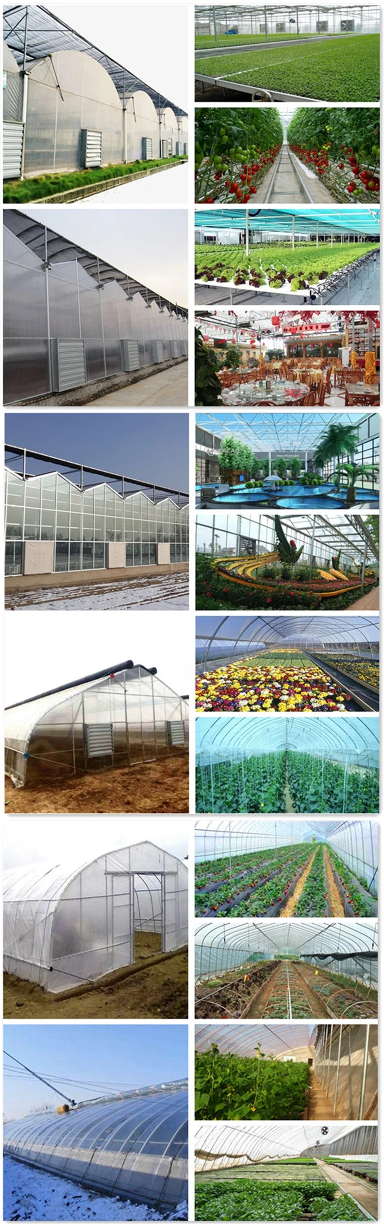 Factory Price Greenhouse Material Galvanized Skeleton for Glass Greenhouse